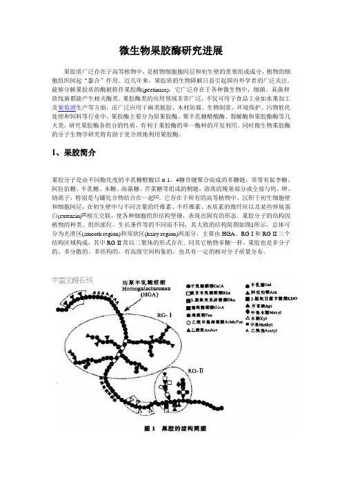 微生物果胶酶研究进展