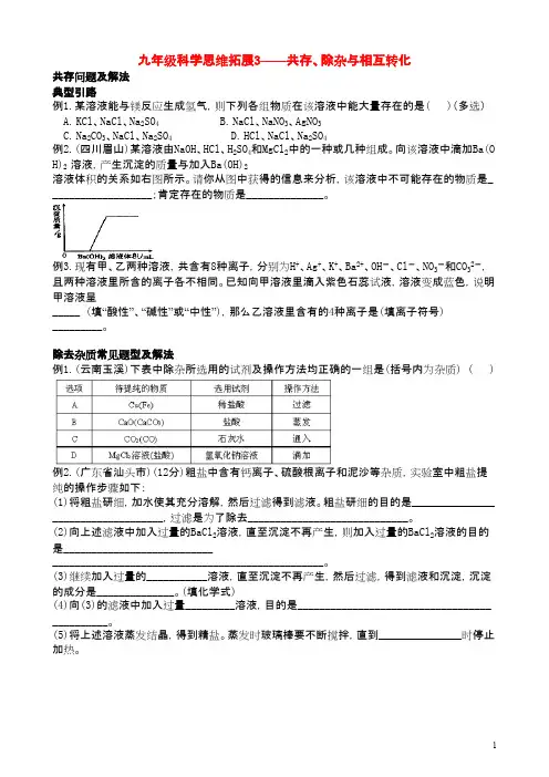 九年级科学上册 思维拓展3共存除杂与相互转化试题 浙教版