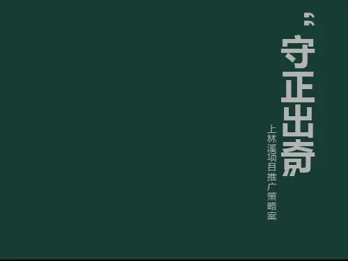 浩文世纪_北京上林溪项目广告推广策略案_176PPT