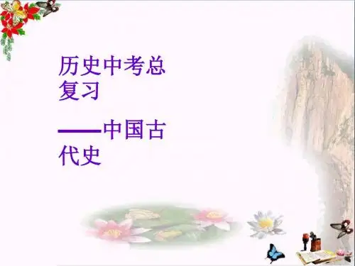 历史中考总复习——中国古代史PPT 北师大版