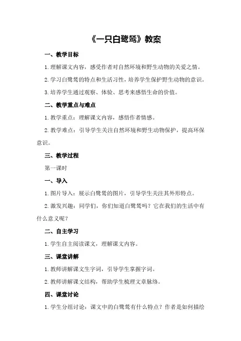 《最后一只白鹭鸶》教案