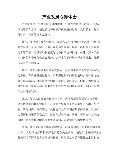 产业发展心得体会