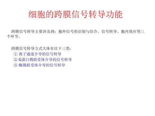 细胞的跨膜信号转导功能