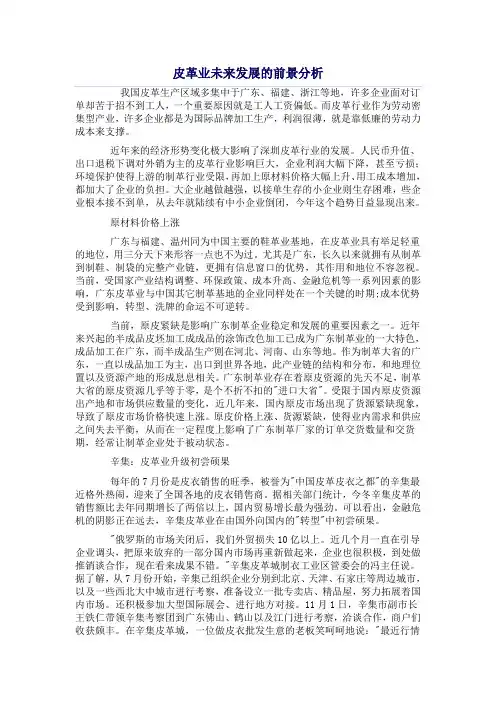 皮革业未来发展的前景分析
