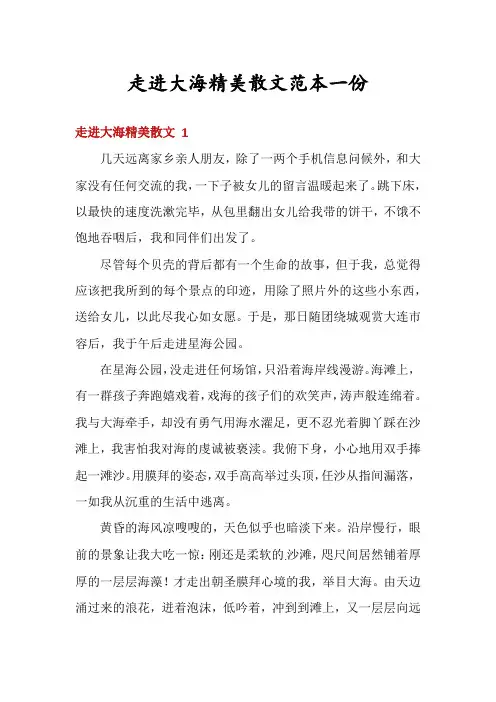 走进大海精美散文范本一份
