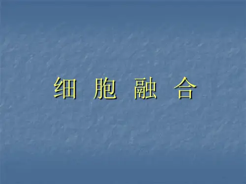 细胞融合实验原理