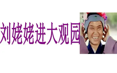 部编版九年级语文上册优质课 24-1刘姥姥进大观园 PPT课件