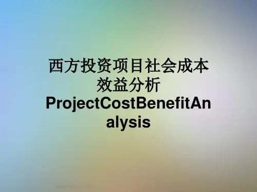 西方投资项目社会成本效益分析ProjectCostBenefitAnalysis