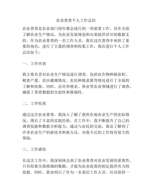 农业普查个人工作总结