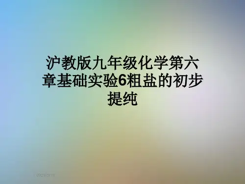 沪教版九年级化学第六章基础实验6粗盐的初步提纯