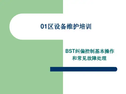 BST纠偏