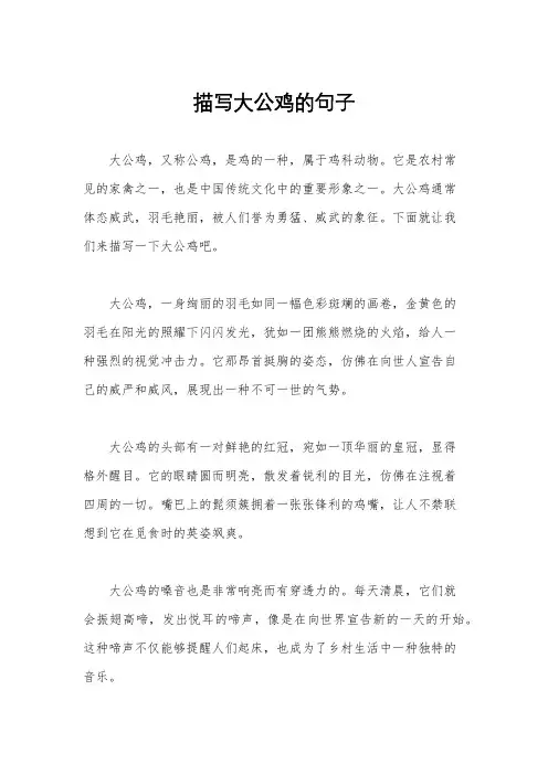 描写大公鸡的句子