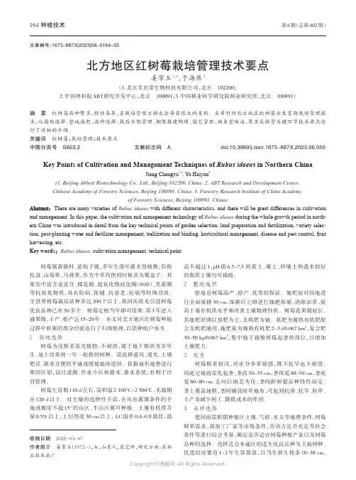 北方地区红树莓栽培管理技术要点