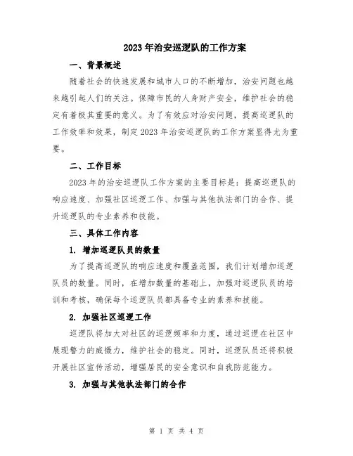 2023年治安巡逻队的工作方案