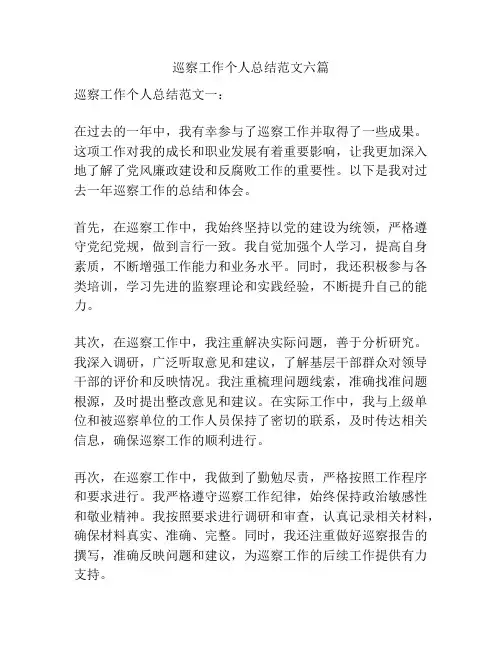 巡察工作个人总结范文六篇