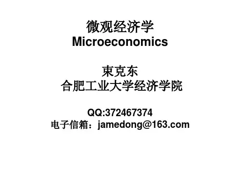 微观经济学第四章   效用理论