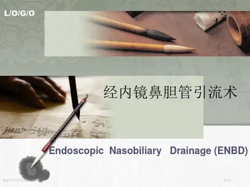 鼻胆管护理专题知识讲座专家讲座
