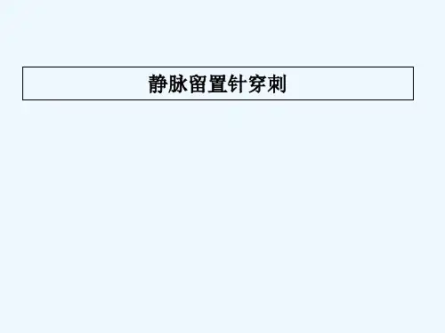 静脉留置针穿刺 PPT