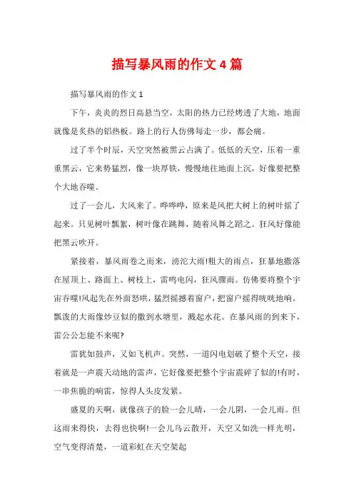 描写暴风雨的作文4篇