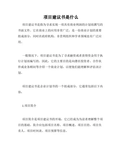 项目建议书是什么