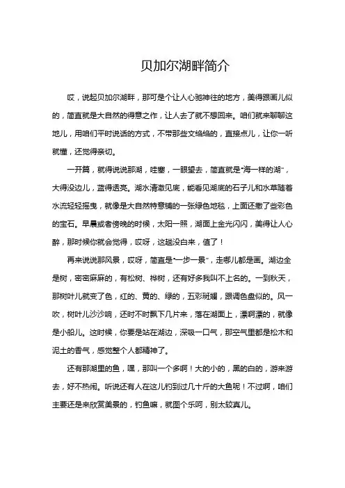 贝加尔湖畔简介
