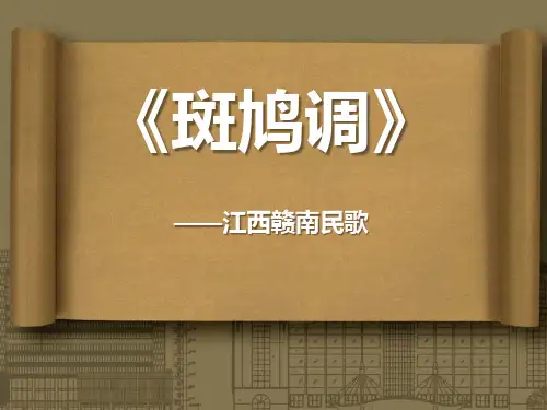 《斑鸠调》PPT课件3
