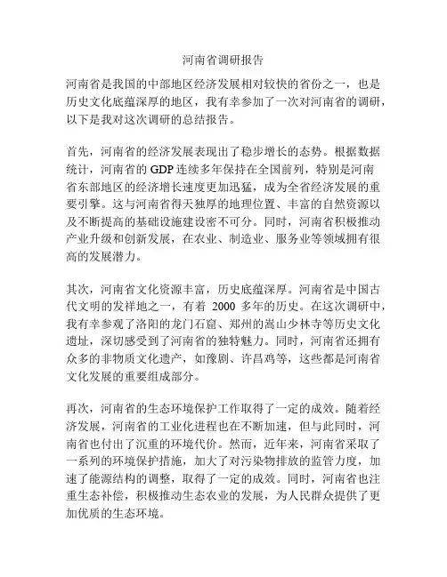 河南省调研报告