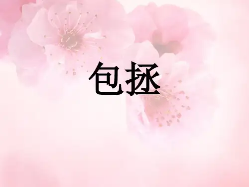 公开课教案教学设计课件语文版初中语文七下《包拯》PPT课件 (三)