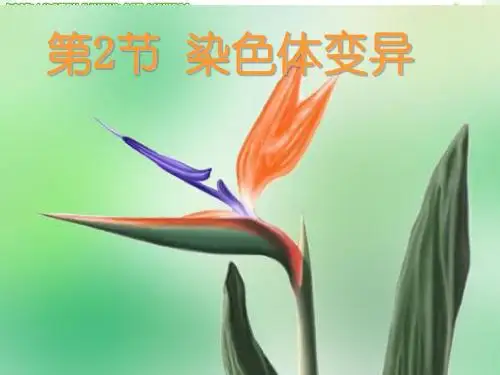 《染色体变异》PPT课件1