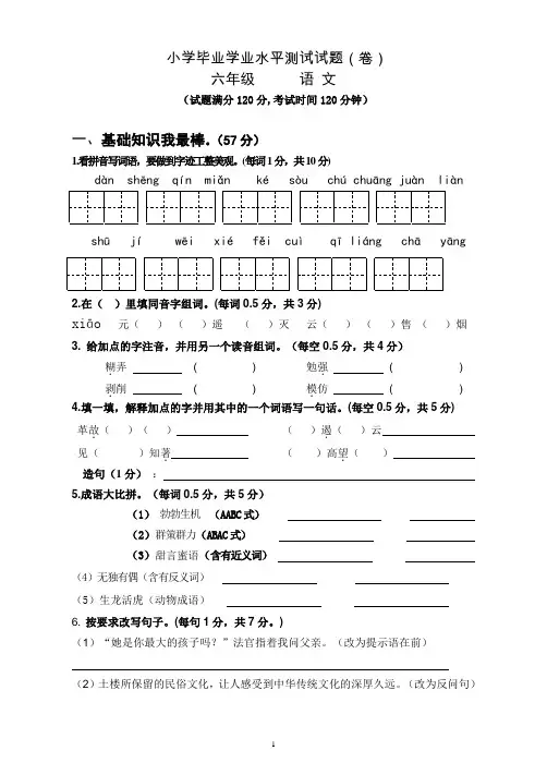 小学语文学业水平测试试题(卷)答题卡、答案
