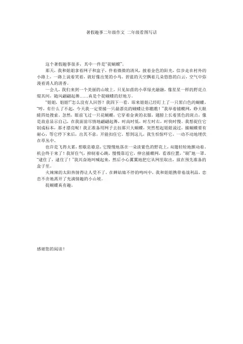 暑假趣事二年级作文_二年级看图写话