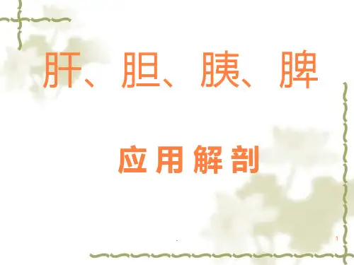 肝胆胰脾ppt课件