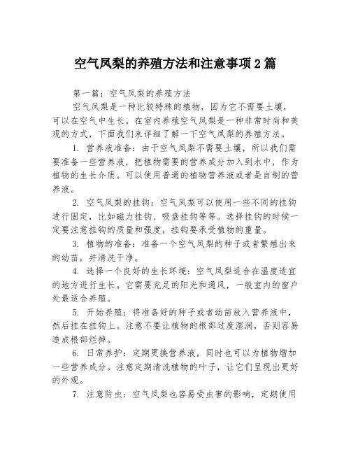 空气凤梨的养殖方法和注意事项2篇