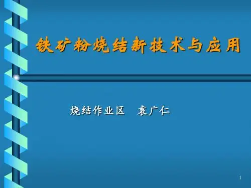 铁矿粉烧结技术与应用--袁广仁