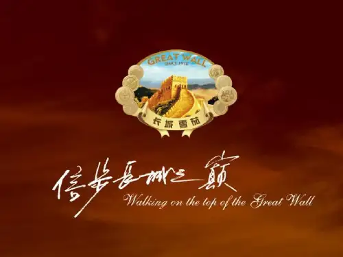 川渝中烟 雪茄烟产品推广