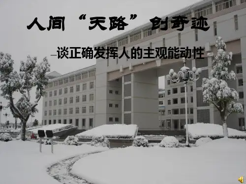 高中政治 哲学常识 谈正确发挥人的主观能动性说课课件 旧人教版