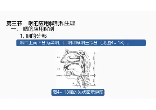 第三节    咽的应用解剖和生理