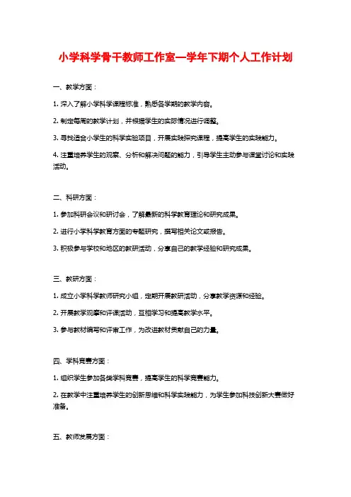 小学科学骨干教师工作室—学年下期个人工作计划