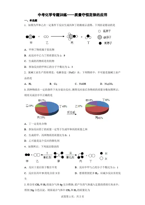 中考化学专题训练——质量守恒定律的应用【附解析】