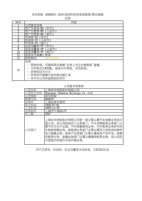 申华控股(600653)2015-2019年财务报表数据-原点参数