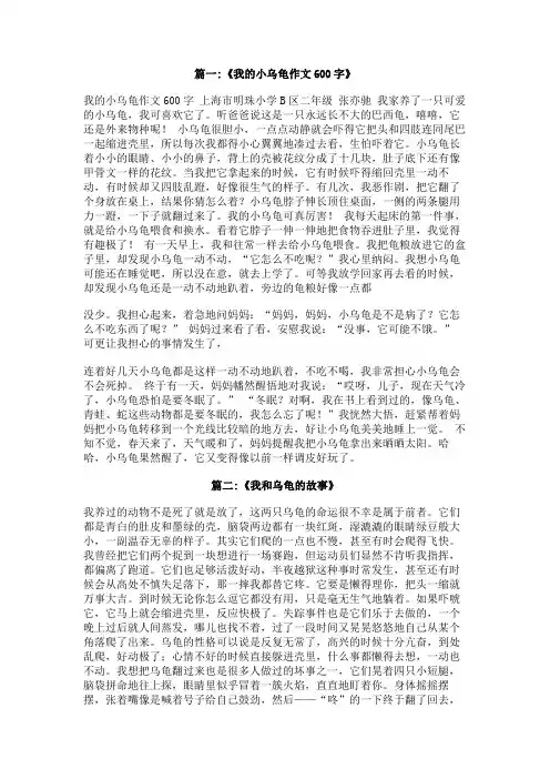 我和乌龟的故事600字