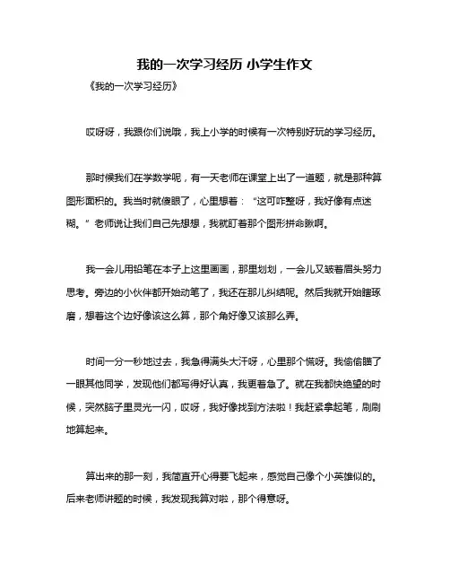 我的一次学习经历 小学生作文