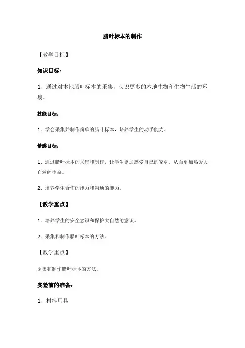 腊叶标本的制作