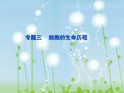 细胞的增殖和受精作用PPT教学课件