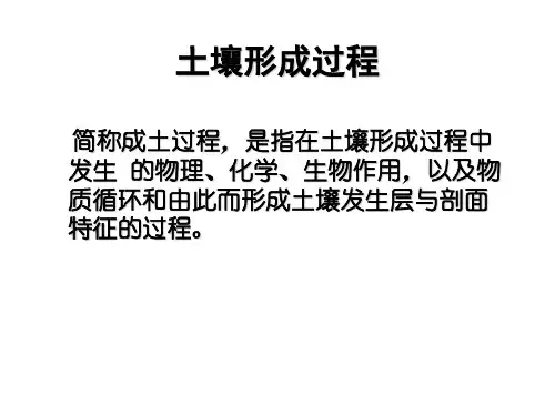土壤地理学课件第四讲土壤形成因素与形成过程(2)-110页PPT资料