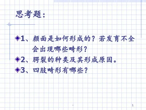 颜面发生PPT课件