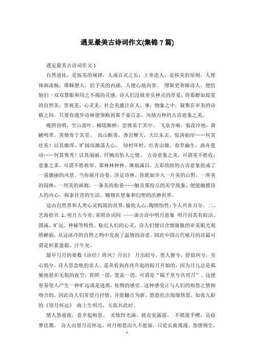 遇见最美古诗词作文(集锦7篇)