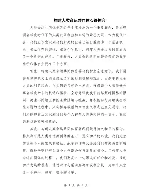 构建人类命运共同体心得体会
