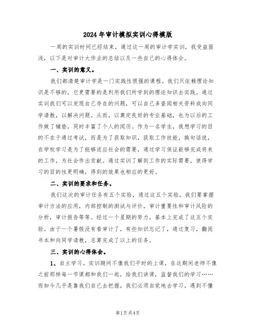 2024年审计模拟实训心得模版(2篇)
