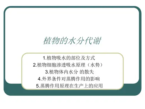 植物的水分代谢